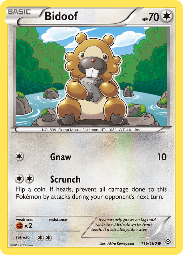 Bidoof XY5-116