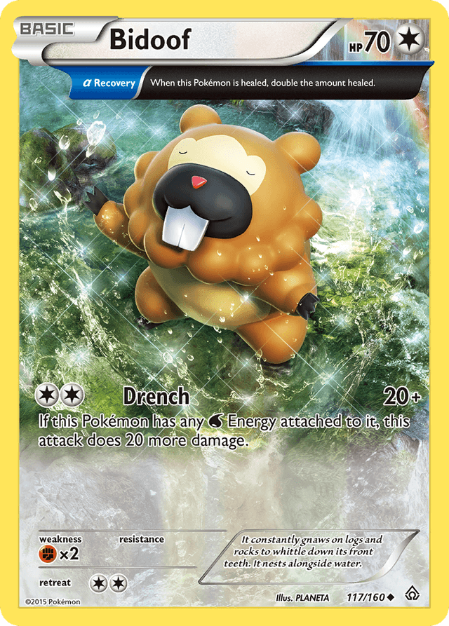 Bidoof XY5-117
