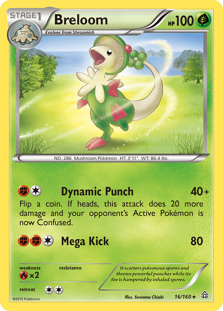 Breloom XY5-16