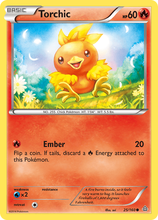Torchic XY5-25
