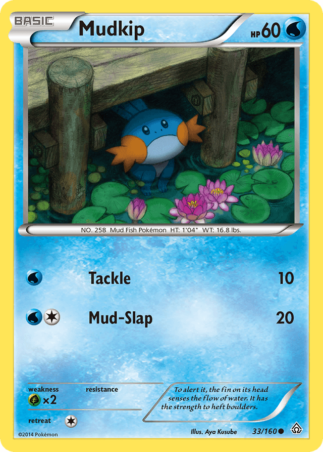Mudkip XY5-33