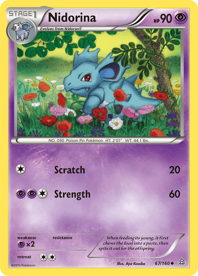 Nidorina XY5-67