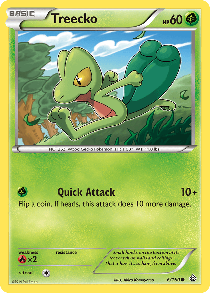 Treecko XY5-6