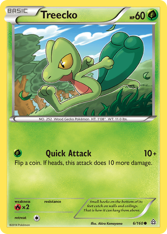 Treecko XY5-6