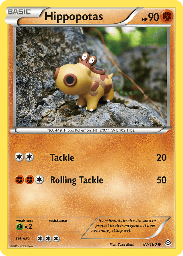 Hippopotas XY5-87