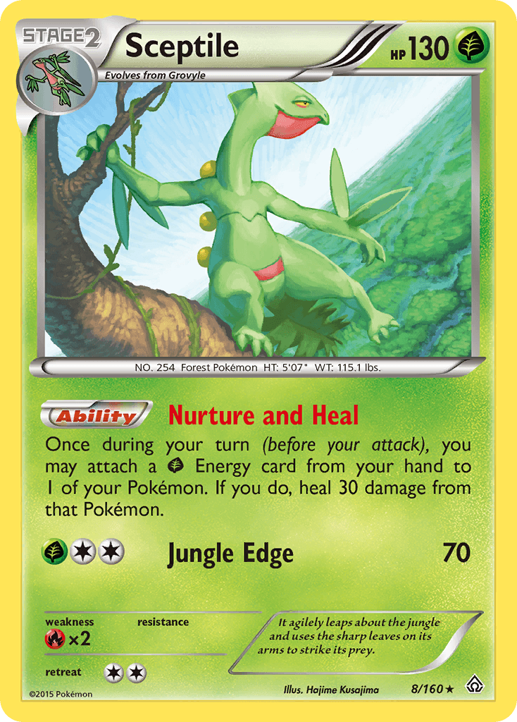 Sceptile XY5-8