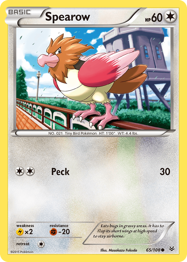 Spearow XY6-65