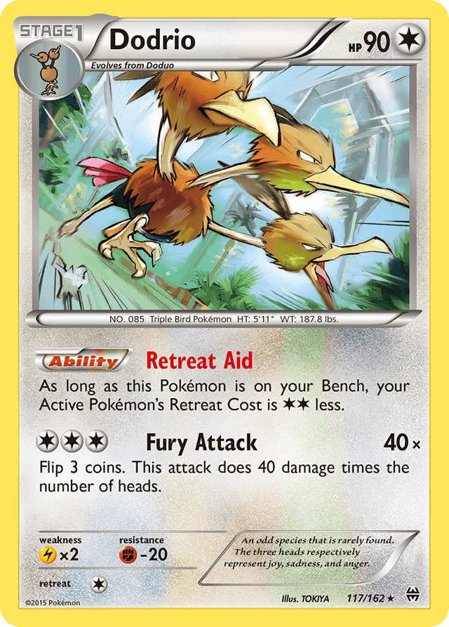 Dodrio XY8-117
