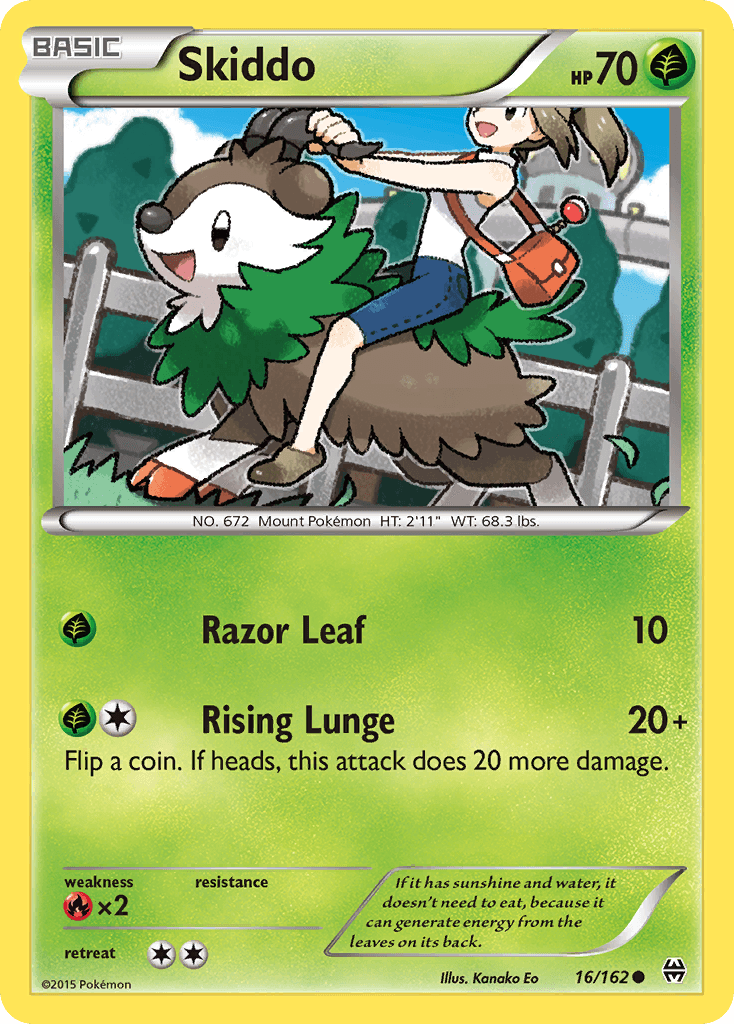 Skiddo XY8-16