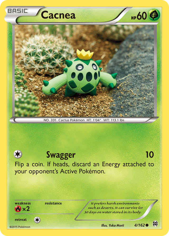 Cacnea XY8-4