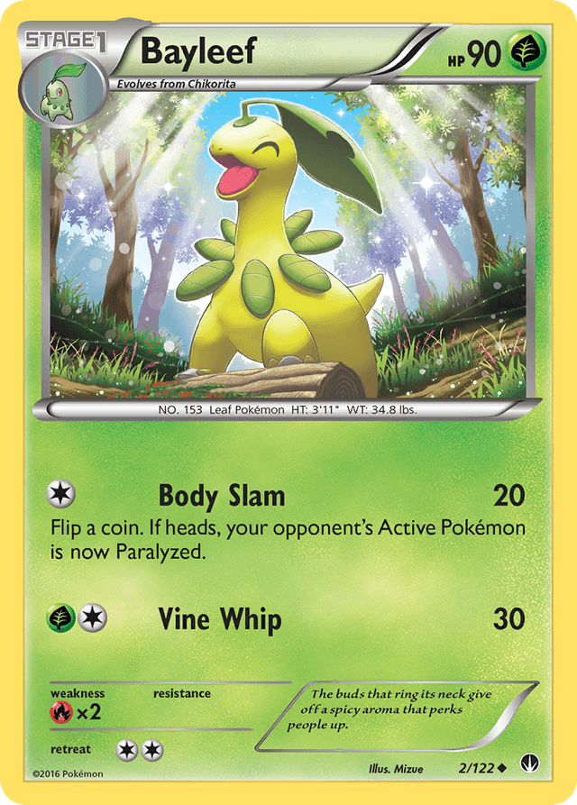 Bayleef XY9-2