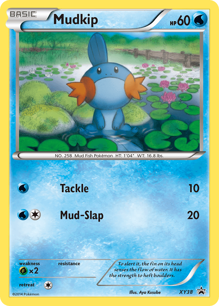 Mudkip XYP-XY38