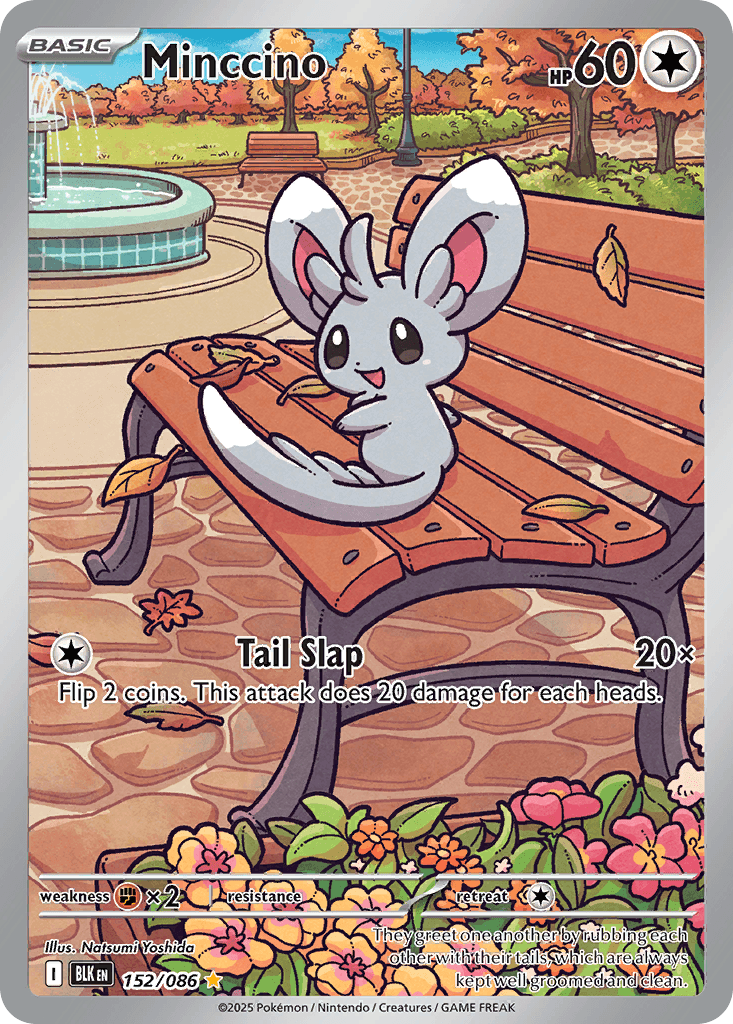 Minccino ZSV10PT5-152