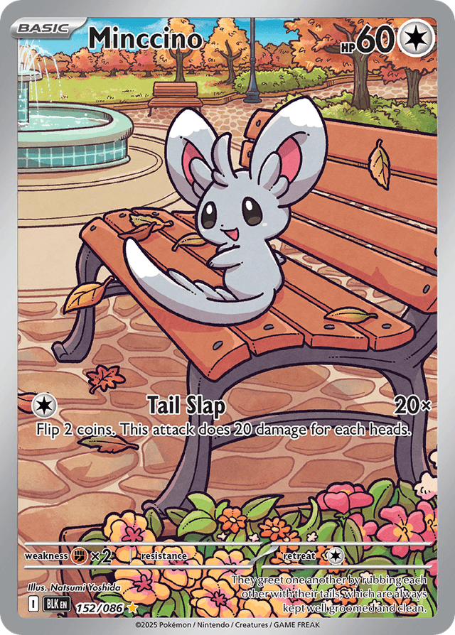 Minccino ZSV10PT5-152