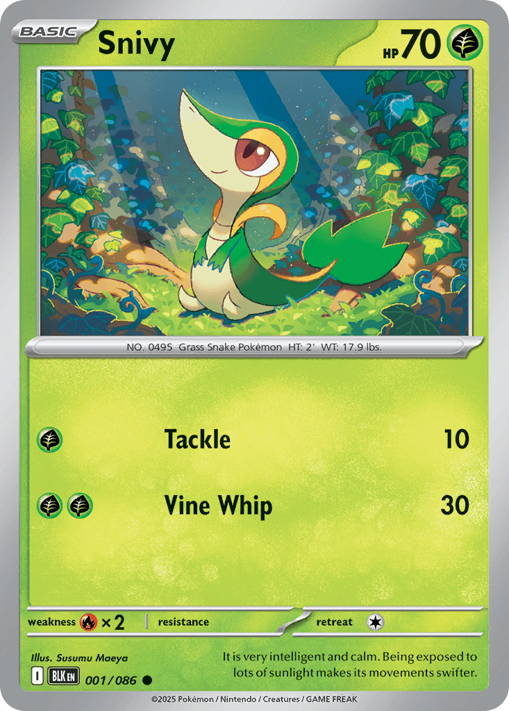Snivy ZSV10PT5-1
