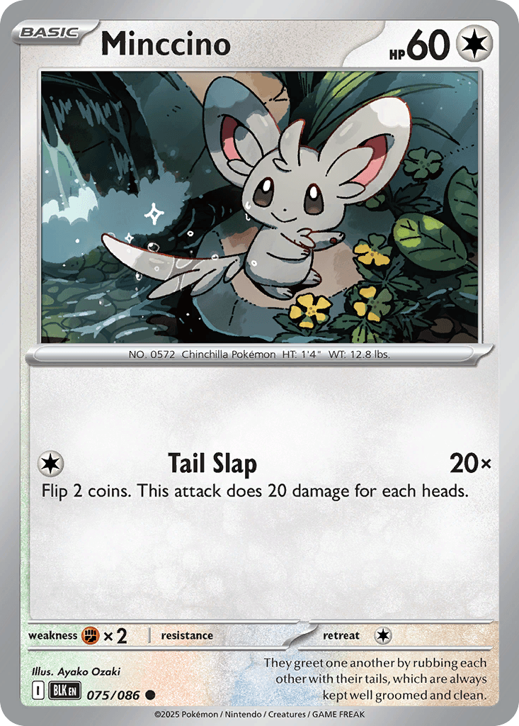Minccino ZSV10PT5-75