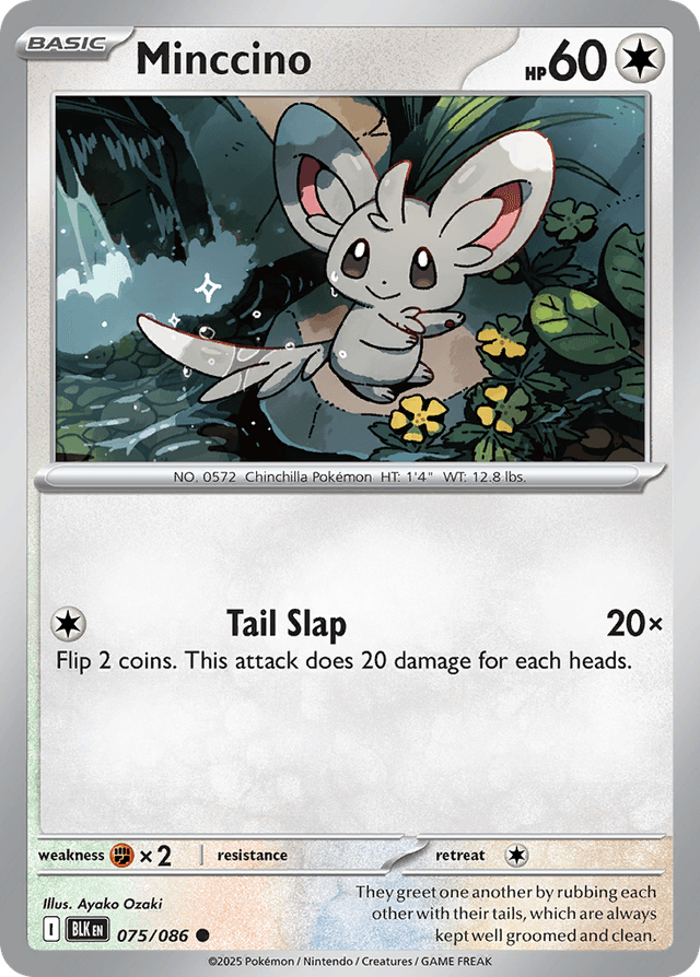 Minccino ZSV10PT5-75