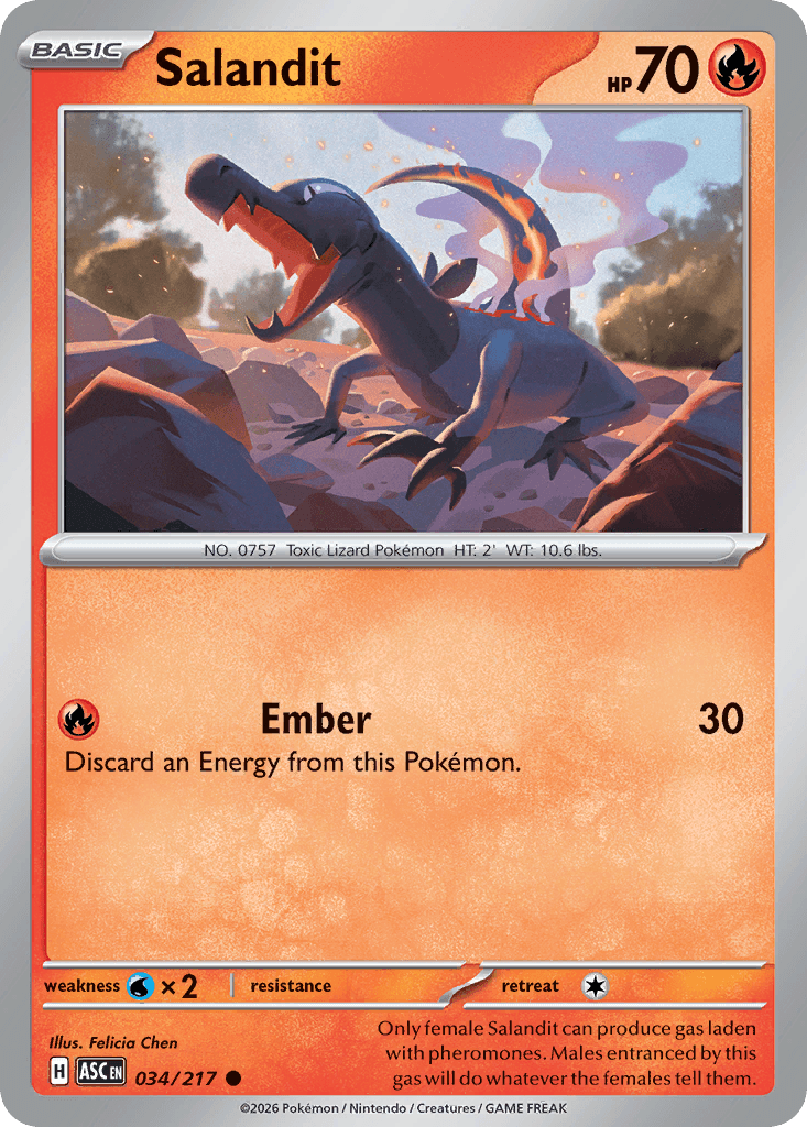 Salandit ME2PT5-34