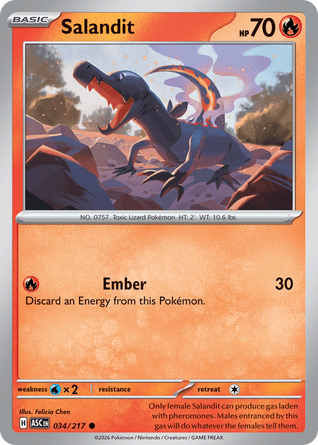 Salandit ME2PT5-34