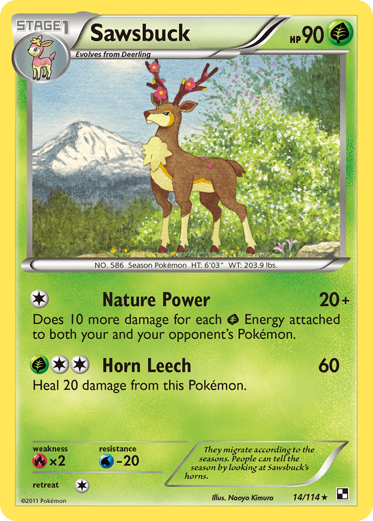Sawsbuck BW1-14