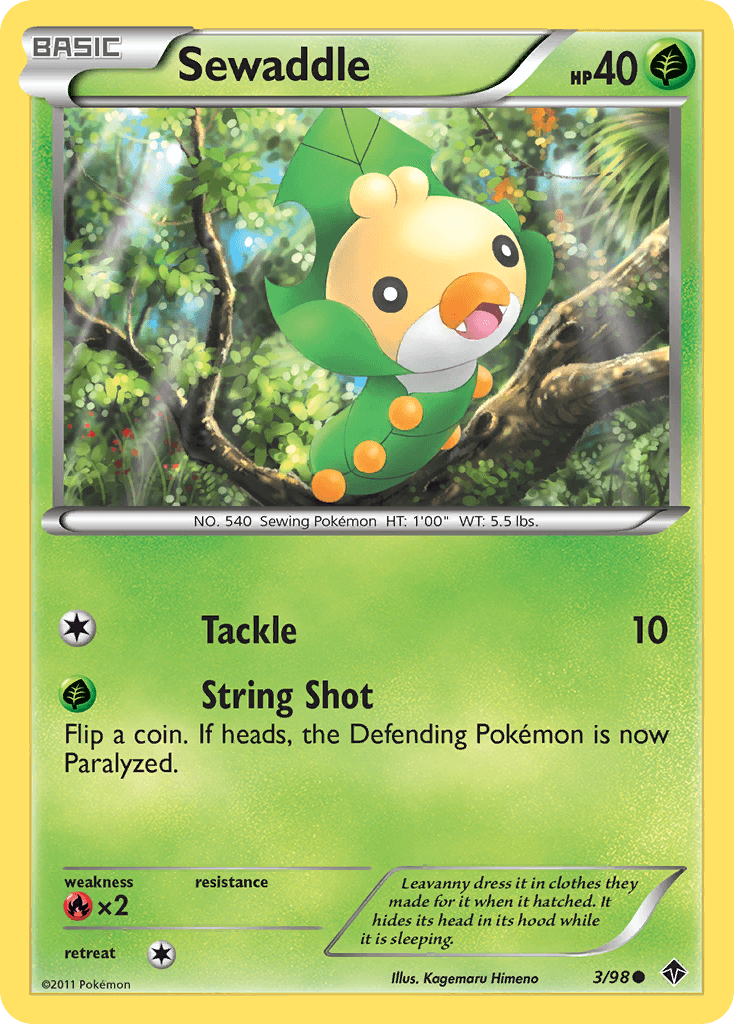 Sewaddle BW2-3