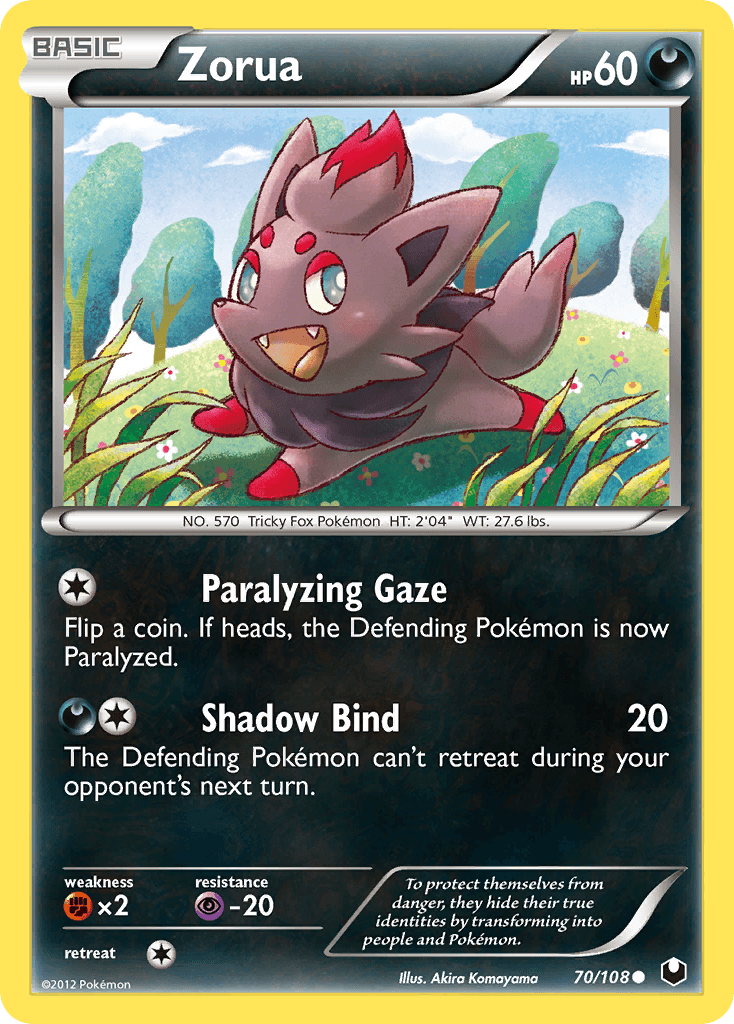 Zorua BW5-70