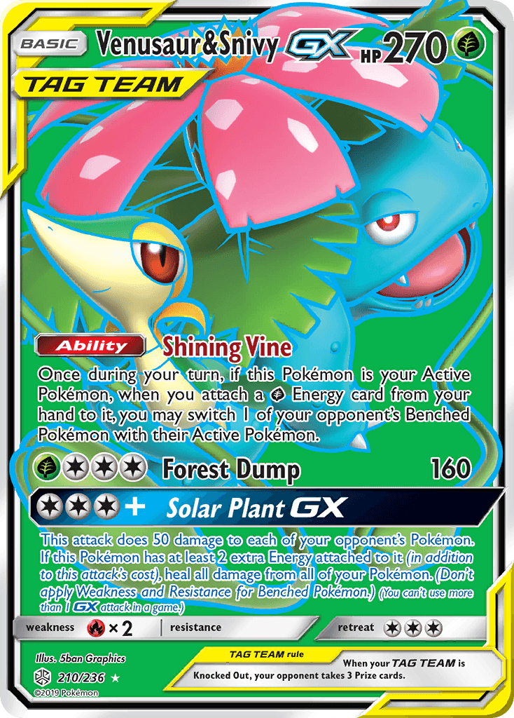 Venusaur & Snivy-GX SM12-210