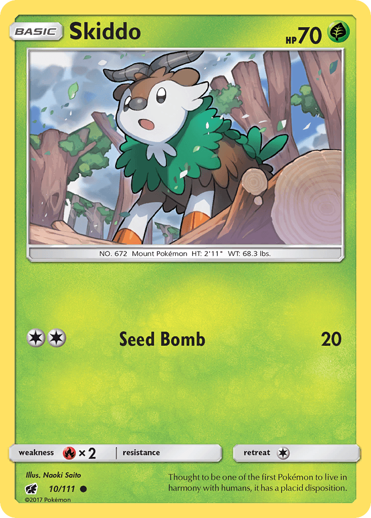 Skiddo SM4-10