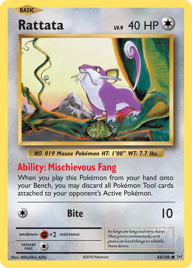 Rattata XY12-66