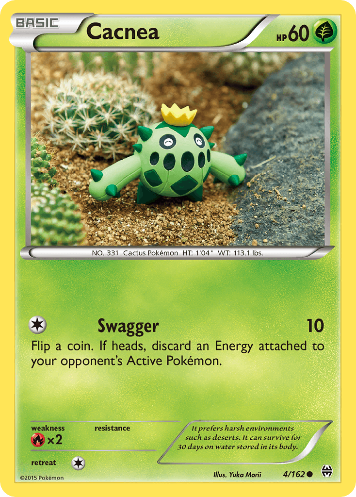 Cacnea XY8-4