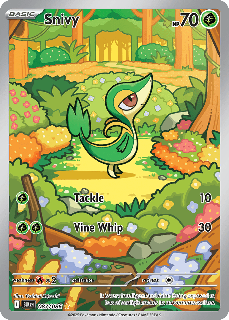 Snivy ZSV10PT5-87