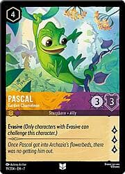 Pascal - Garden Chameleon 019