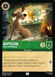 Napoleon - Clever Bloodhound 096